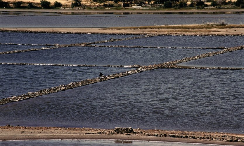 Grande Saline et ses anciennes salines exploitées par les Saint-Barths. Grande Saline et ses anciennes salines exploitées par les Saint-Barths.