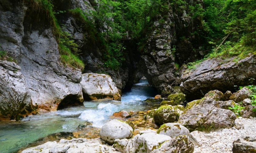 Rivière Kamniska Bistrica. Rivière Kamniska Bistrica.