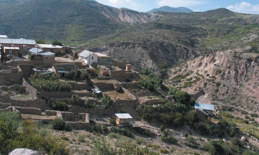 Village dans la vallée d'Azapa Village dans la vallée d'Azapa