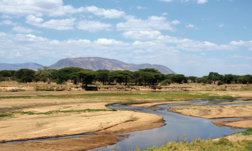 <p>Ruaha National Park</p> <p>Ruaha National Park</p>