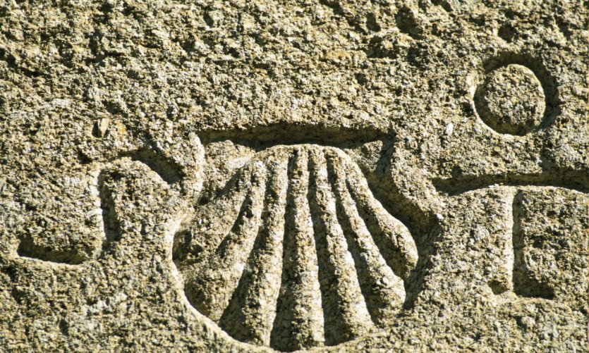 <p>Les coquilles Saint-Jacques, symboles du pélerinage.</p> <p>Les coquilles Saint-Jacques, symboles du pélerinage.</p>