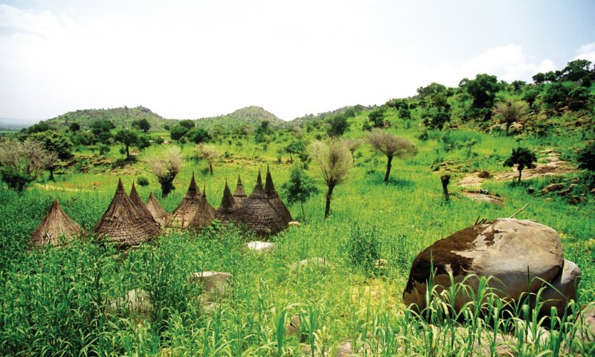 La vallée cultivée (mil, maïs) et la réserve d'eau du col de Koza. La vallée cultivée (mil, maïs) et la réserve d'eau du col de Koza.