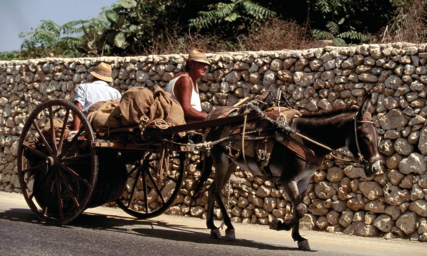 Rural transportation to Gozo. Rural transportation to Gozo.