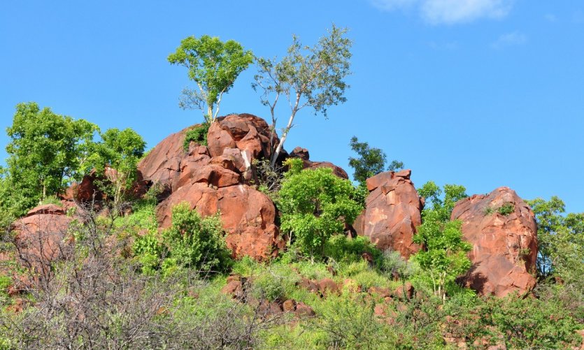 Waterberg plateau park. Waterberg plateau park.