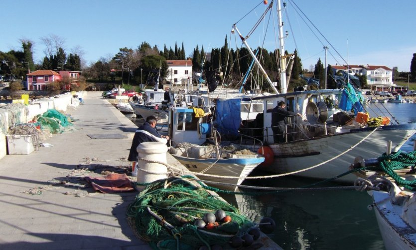 <p>Port de pêche de Pineta.</p> <p>Port de pêche de Pineta.</p>