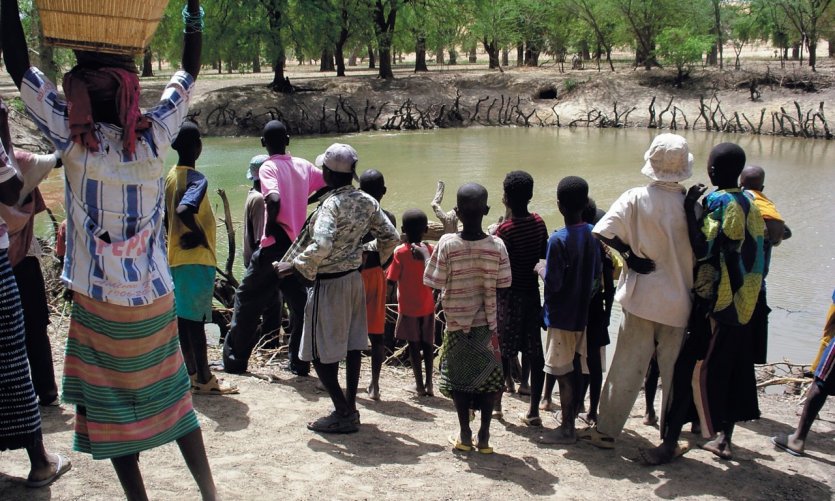 <p>A Amani, les Dogon vivent en bonne intelligence avec les caïmans sacrés</p> <p>A Amani, les Dogon vivent en bonne intelligence avec les caïmans sacrés</p>