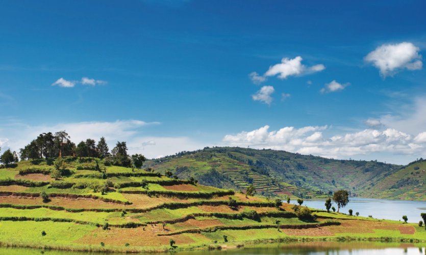 Lac Bunyonyi. Lac Bunyonyi.