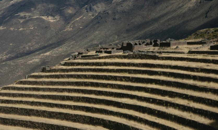 <p>Terraces of the Inca ́ website.</p> <p>Terraces of the Inca ́ website.</p>