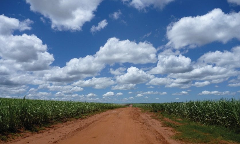 <p>Sugar cane fields in the vicinity of La Colmena.</p> <p>Sugar cane fields in the vicinity of La Colmena.</p>