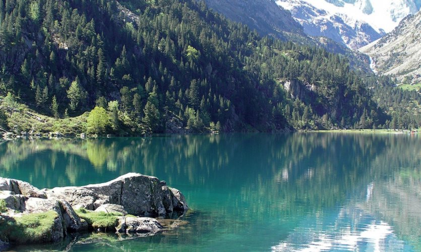 pyrenees