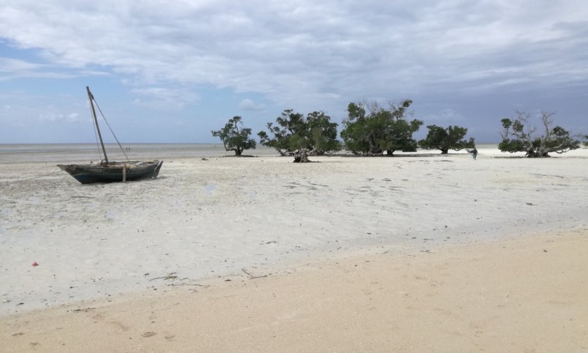 Quirimba et sa plage à marrée basse. Quirimba et sa plage à marrée basse.