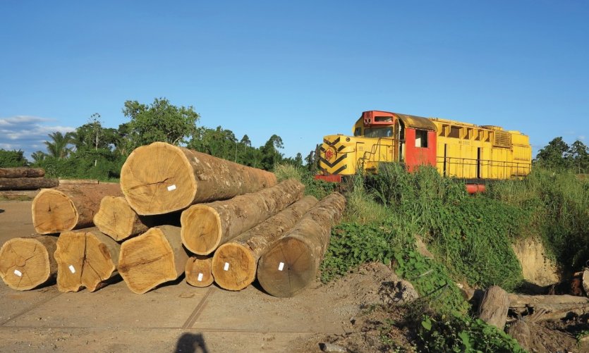 <p>Locomotive abandonée au sud de la ville.</p> <p>Locomotive abandonée au sud de la ville.</p>