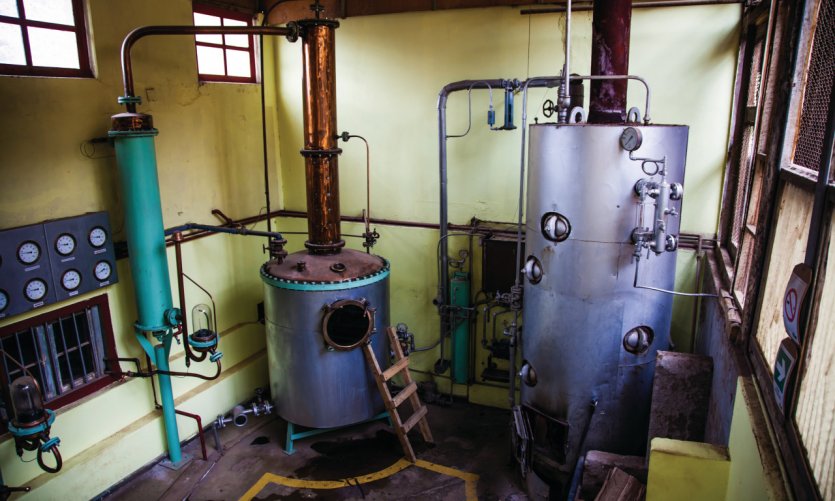 Distillerie artisanale du pisco Los Nichos Distillerie artisanale du pisco Los Nichos