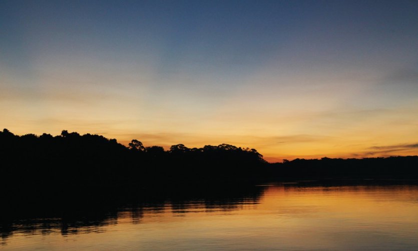 La jungle près de Rurrenabaque et ses magnifiques couchers de soleil. La jungle près de Rurrenabaque et ses magnifiques couchers de soleil.