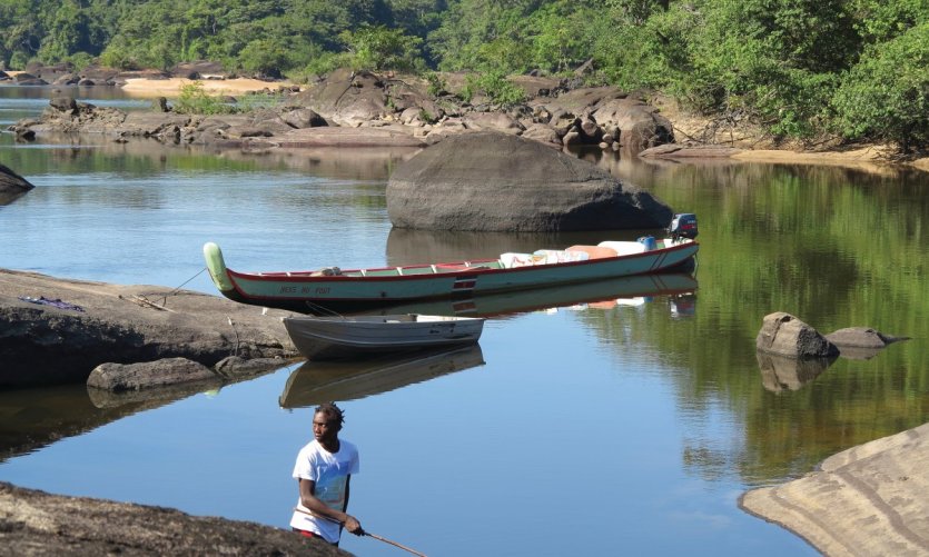 <p>La réserve naturelle de Fungu Eiland.</p> <p>La réserve naturelle de Fungu Eiland.</p>