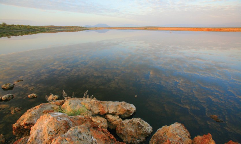 Lac de Magadi. Lac de Magadi.