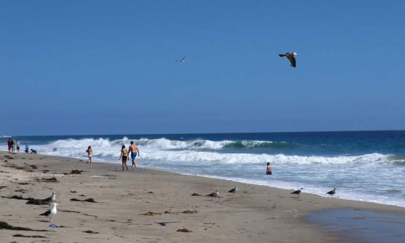 Malibu et sa côte. Malibu et sa côte.