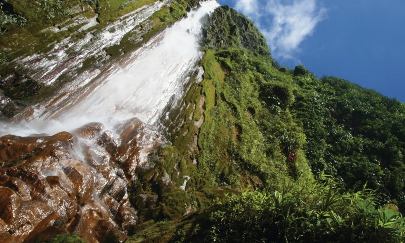Chutes du Carbet. Chutes du Carbet.