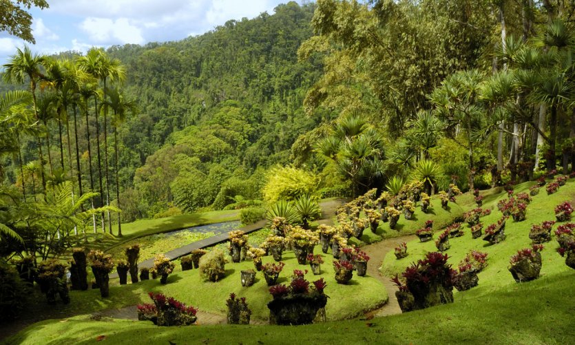 Jardin de Balata. Jardin de Balata.