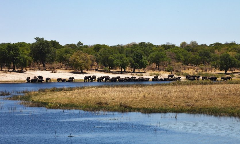 Bwabwata National Park. Bwabwata National Park.