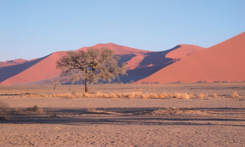 Dunes de Sossusvlei. Dunes de Sossusvlei.