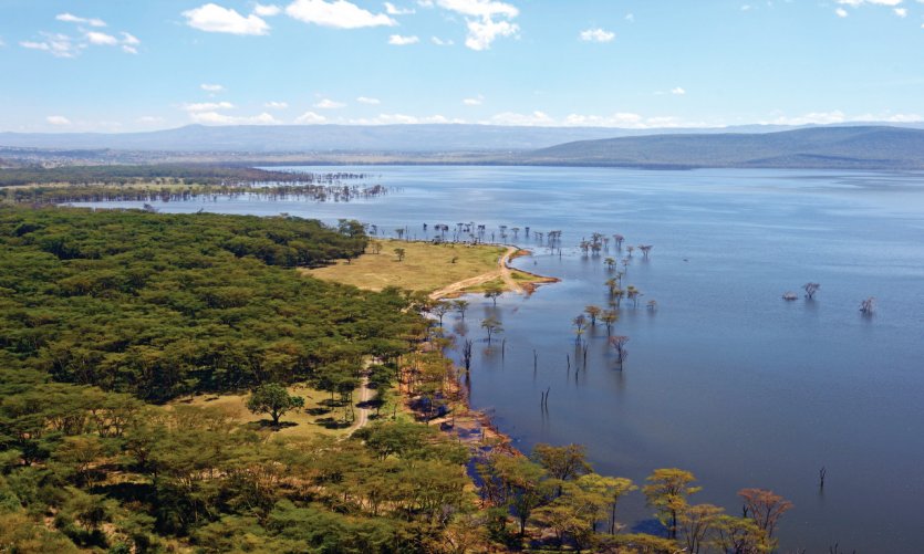Lac Nakuru. Lac Nakuru.