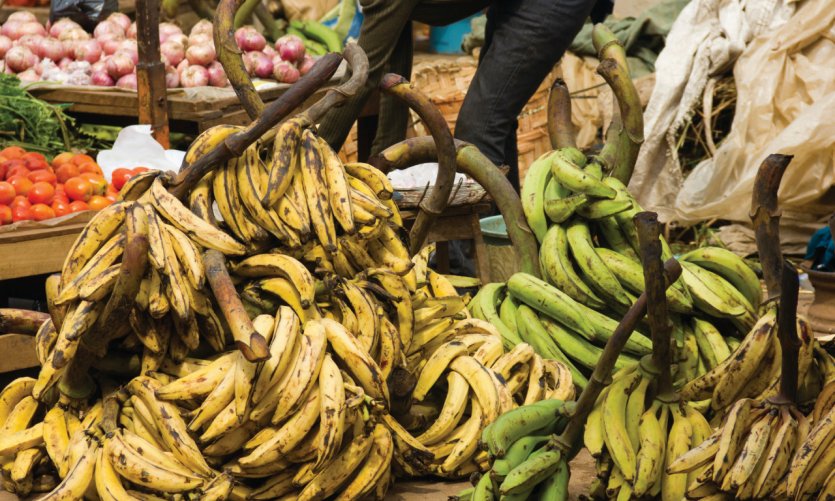 Banana. Banana.
