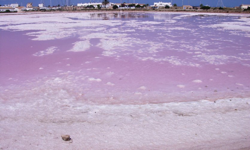 <p>Sus Salinas (Formentera).</p> <p>Sus Salinas (Formentera).</p>