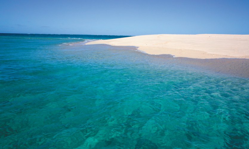 L'îlot de sable blanc fait partie des incontournables ! L'îlot de sable blanc fait partie des incontournables !