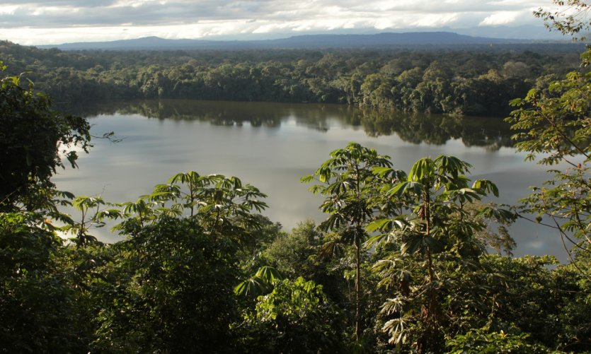 Le parc Madidi s'étend entre des forêts humides et des sommets de plus de 5000 m. Le parc Madidi s'étend entre des forêts humides et des sommets de plus de 5000 m.