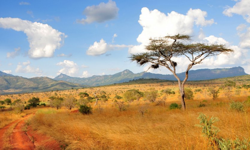 Taita Hills. Taita Hills.