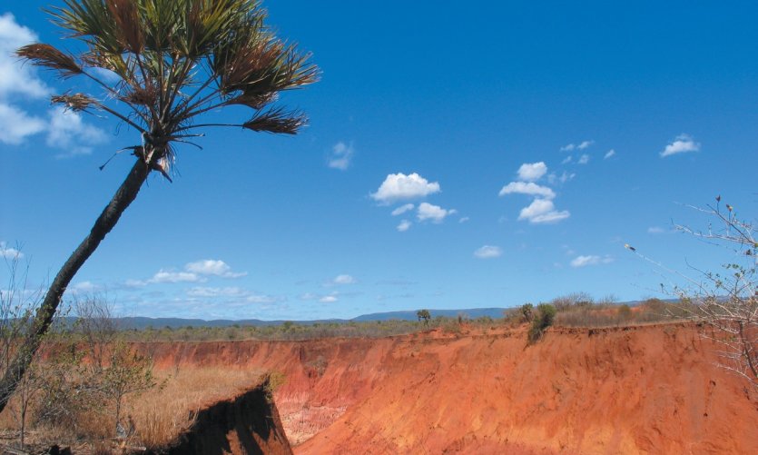 Red and arid land in northern Madagascar, near Antsiranana Red and arid land in northern Madagascar, near Antsiranana