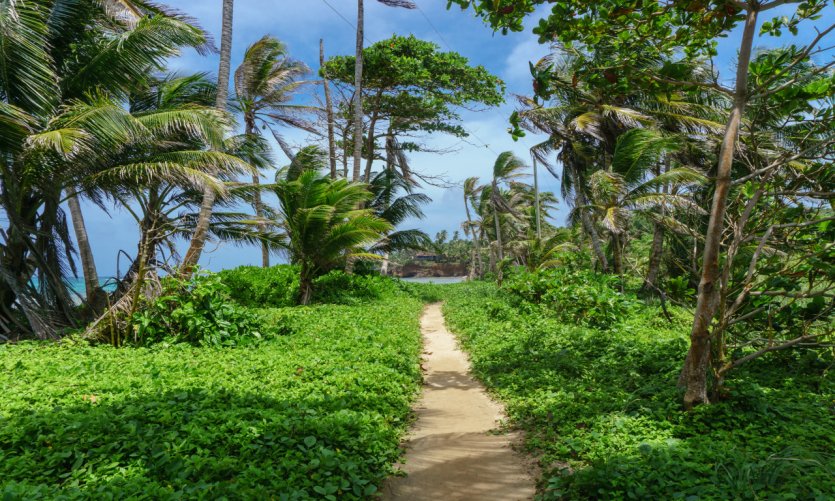 Little Corn island. Little Corn island.