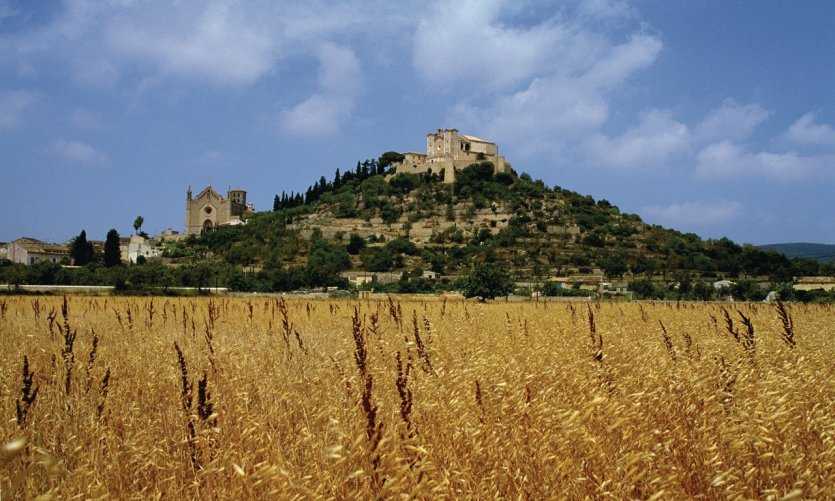 <p>Artà, vieille cité perchée sur une colline.</p> <p>Artà, vieille cité perchée sur une colline.</p>