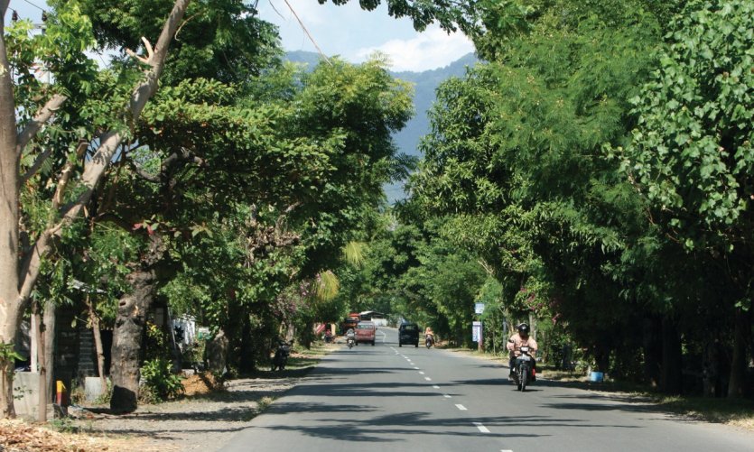 La principale route du nord de Bali reliant tous les points côtiers. La principale route du nord de Bali reliant tous les points côtiers.