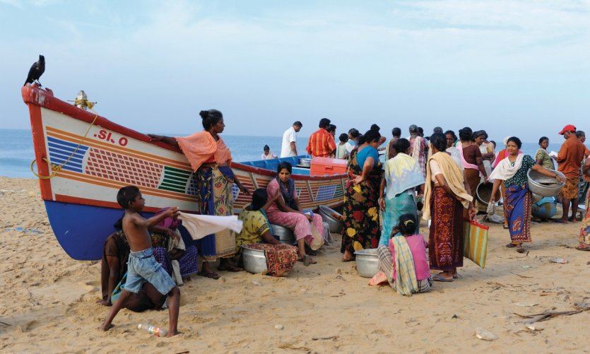 Vente de poisson sur la plage au retour de la pêche Vente de poisson sur la plage au retour de la pêche