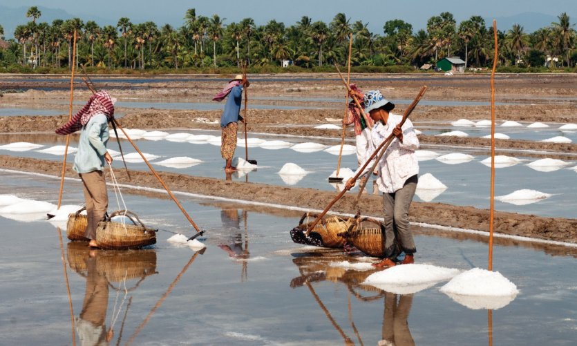 Salines entre Kep et Kampot. Salines entre Kep et Kampot.