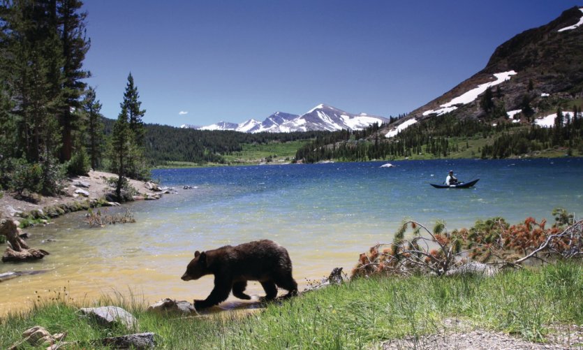 Tenaya Lake au Yosemite National Park. Tenaya Lake au Yosemite National Park.
