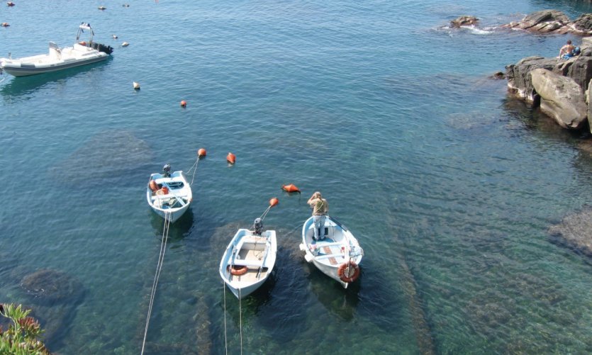 Port de pêche des Cinque Terre. Port de pêche des Cinque Terre.