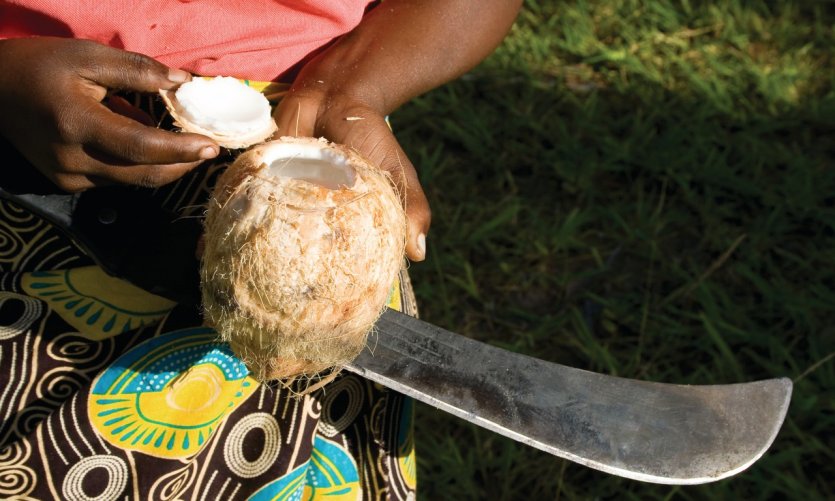 Noix de coco. Noix de coco.