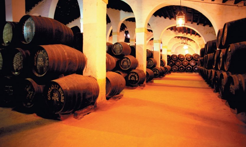 Cave de la Bodega Gonzalez Byass. Cave de la Bodega Gonzalez Byass.