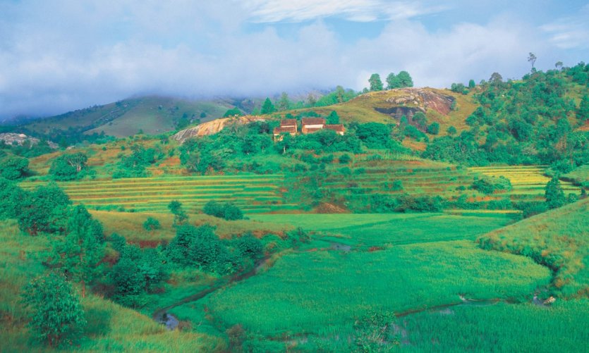 <p>Alrededores de Ambositra</p> <p>Alrededores de Ambositra</p>