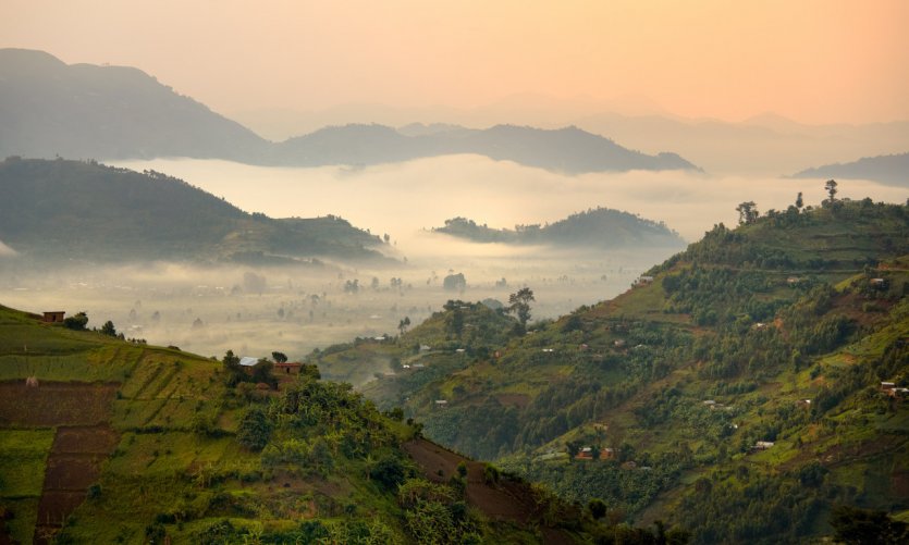 Chaîne des Virunga dans la brume matinale. Chaîne des Virunga dans la brume matinale.