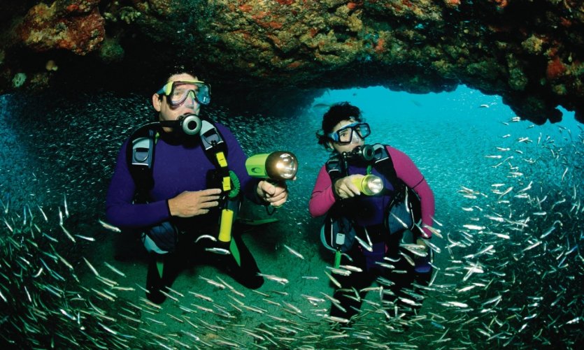 <p>Submarinismo, Key Largo.</p> <p>Submarinismo, Key Largo.</p>
