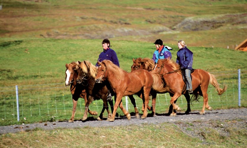 <p>Parc national de Þingvellir.</p> <p>Parc national de Þingvellir.</p>