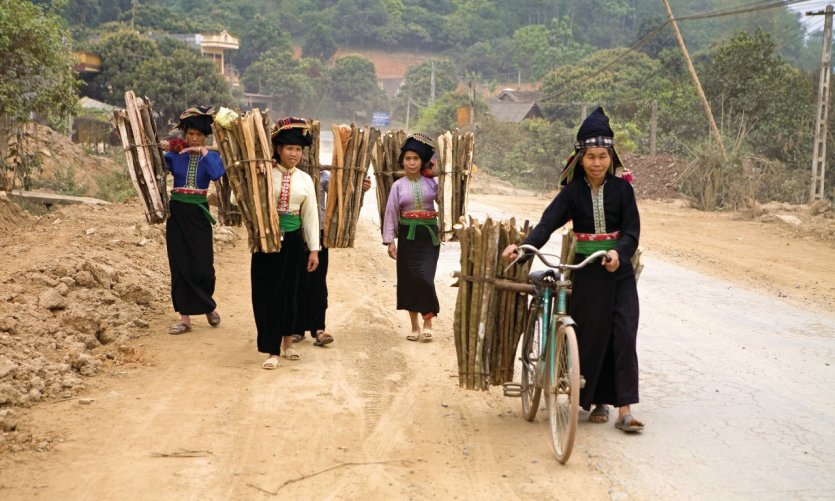 Femmes transportant du bois. Femmes transportant du bois.