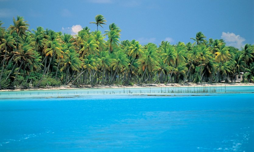 tahiti paysage - Image