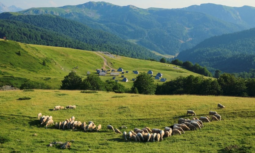 <p>Landscape of the national park of Biogradska Gora.</p> <p>Landscape of the national park of Biogradska Gora.</p>