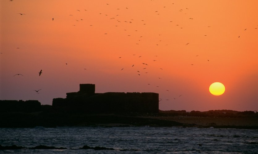 Île de Mogador. Île de Mogador.