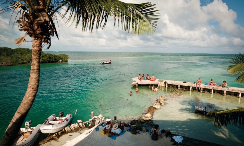 <p>Caye Caulker forest reserve.</p> <p>Caye Caulker forest reserve.</p>